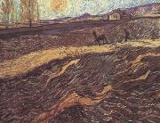 Vincent Van Gogh Enclosed Field with Ploughman (nn04) china oil painting reproduction